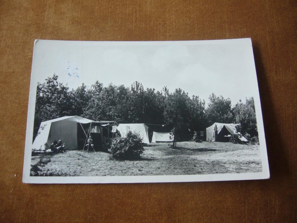 WOENSDRECHT  =  BONDSKAMPEERPLAATS UIT EN THUIS, Ophalen of Verzenden, 1940 tot 1960, Gelopen