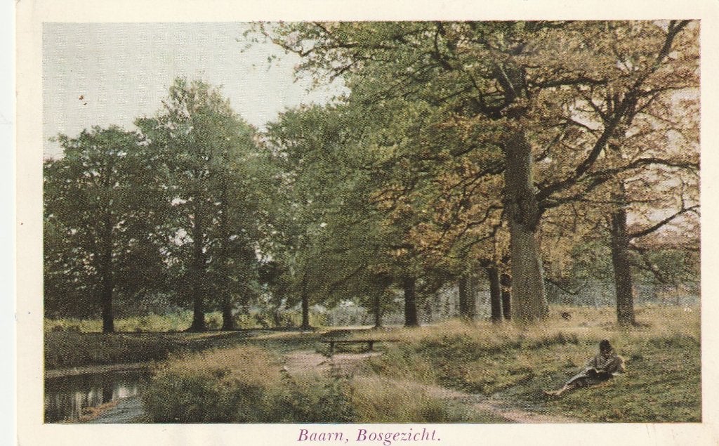 BAARN Bosgezicht kl.f., Verzamelen, Verzenden, 1960 tot 1980, Gelopen, Utrecht