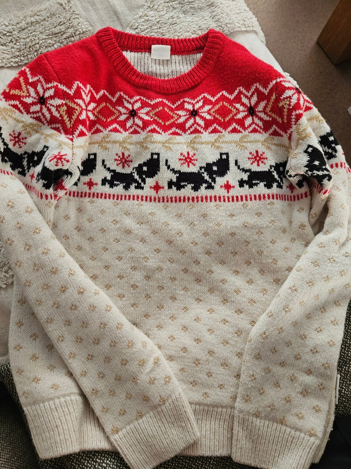 Hema Kersttrui met Teckels - Maat 146/152, Kinderen en Baby's, Ophalen, Jongen of Meisje, Trui of Vest, Zo goed als nieuw