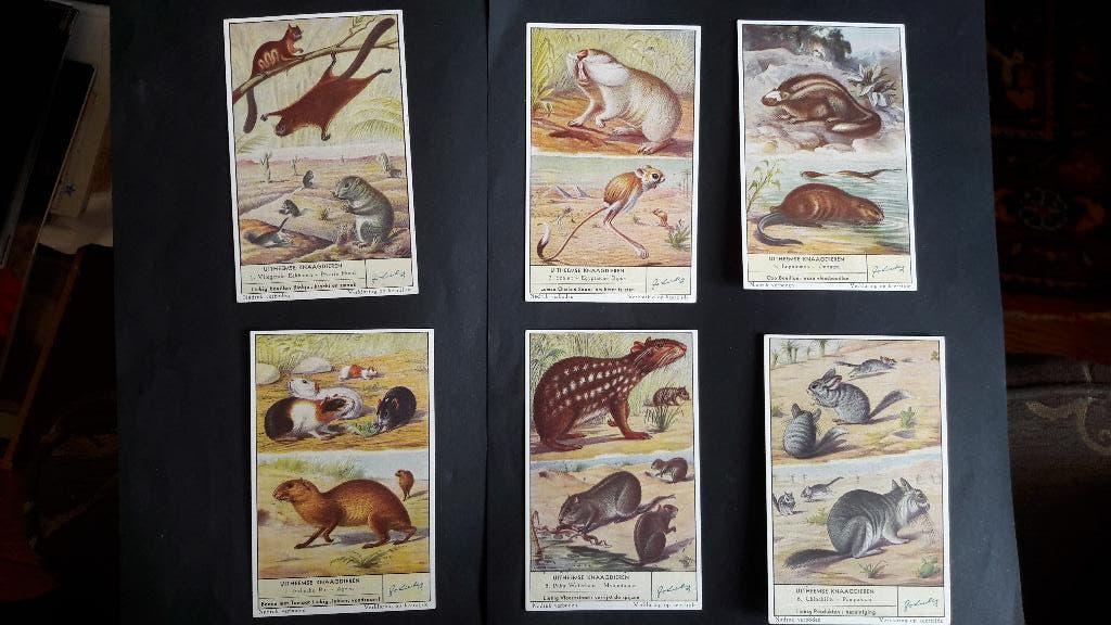 3 complete sets Chromo Litho,s Liebig.S 1600, S 1610, S 1612, Verzamelen, Ophalen of Verzenden, Zo goed als nieuw, 1940 tot 1960