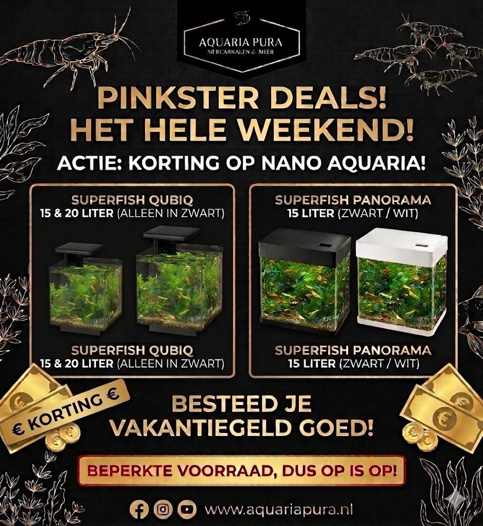 Aquaria pura pinksteraanbiedingen, Dieren en Toebehoren, Vissen | Aquaria en Toebehoren, Ophalen, Nieuw, Leeg aquarium