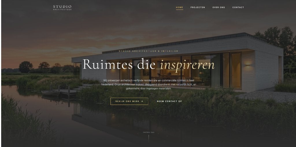 Professionele websites vanaf slechts €199,-, Ophalen of Verzenden, Zo goed als nieuw, Internet of Webdesign