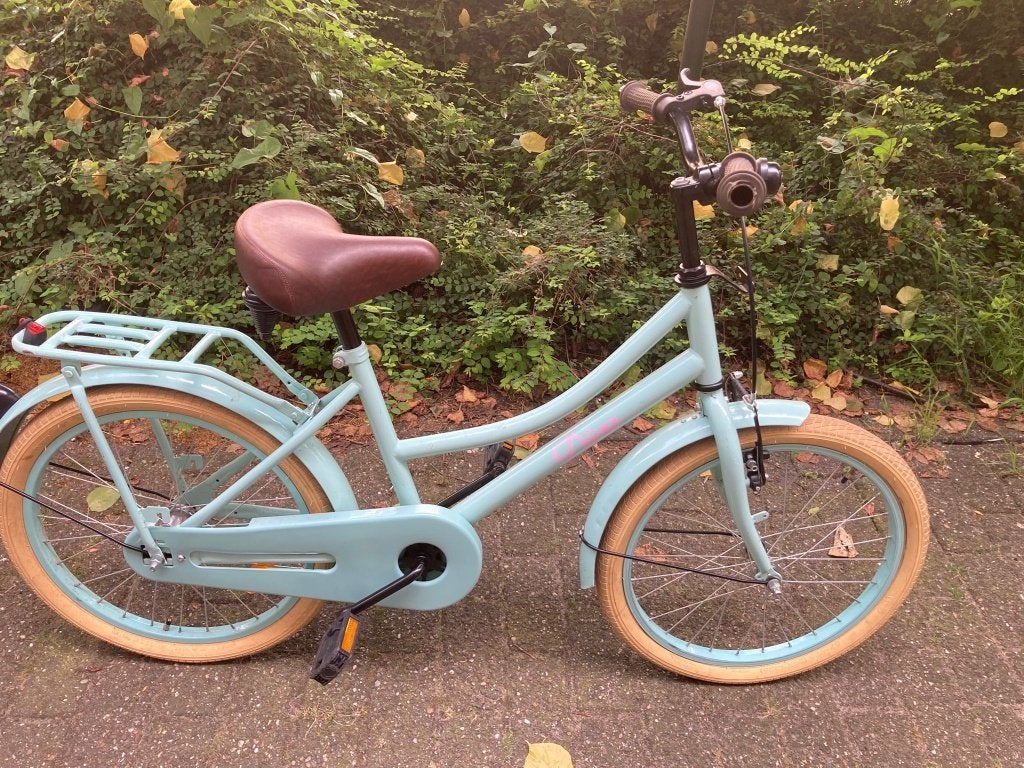 Diva meisjesfiets, Fietsen en Brommers, Fietsen | Kinderfietsjes, Ophalen, Gebruikt, 20 inch of meer