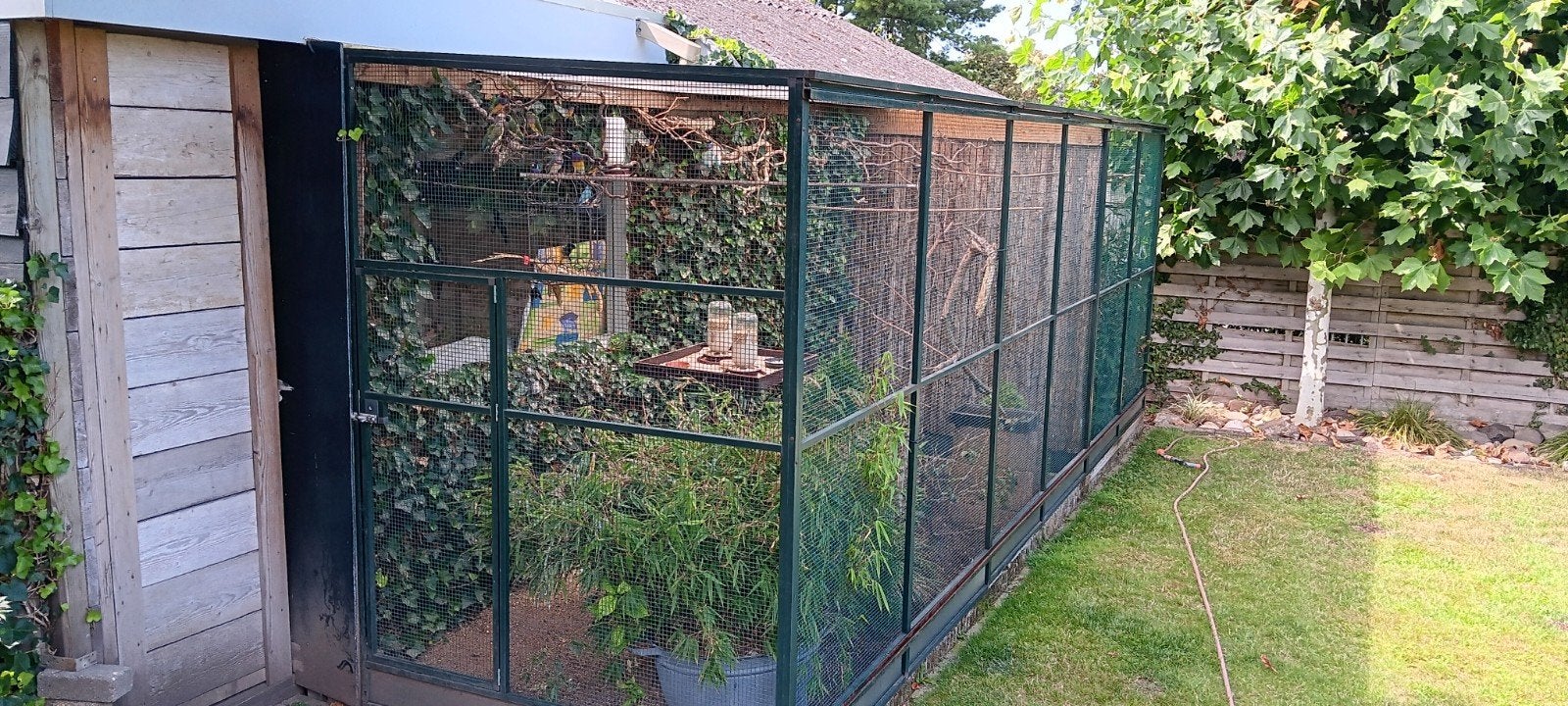 voliere te koop, Ophalen, Aluminium, Volière