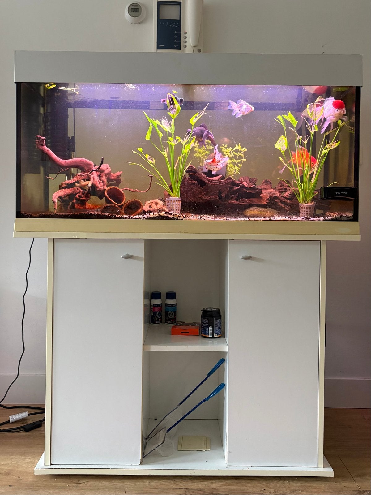 Aquarium incl. Toebehoren, Ophalen, Gebruikt, Gevuld zoetwateraquarium, Juwel