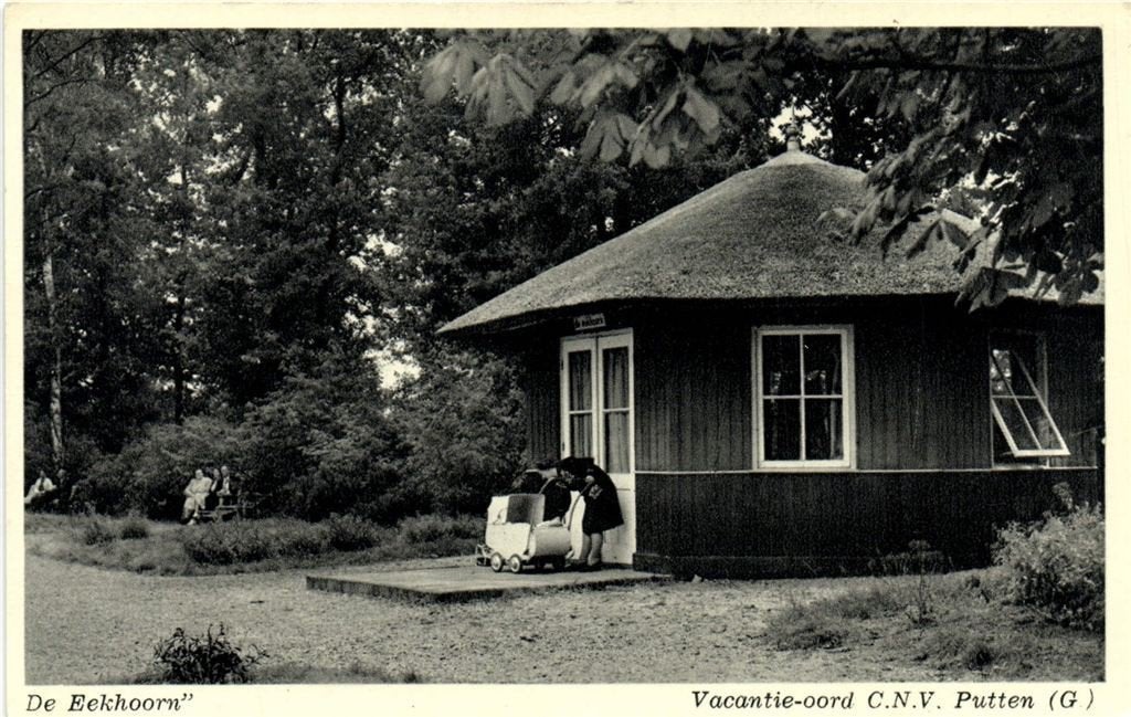 De Eekhoorn - Vacantie-oord C.N.V. Putten [G] - ongelopen, Ophalen of Verzenden, 1960 tot 1980, Ongelopen, Gelderland