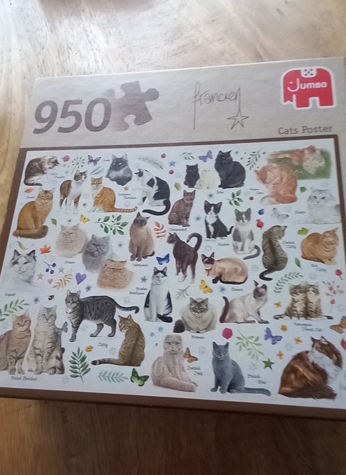 jumbo poezen puzzel 950 stukjes, Ophalen, 500 t/m 1500 stukjes, Zo goed als nieuw