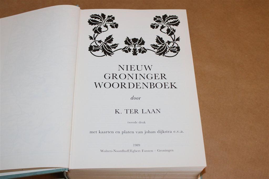 Nieuw Groninger Woordenboek — K. ter Laan Facsimile [1952], Ophalen of Verzenden, Gelezen