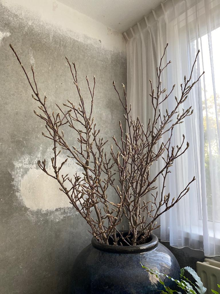 Mooie magnolia takken van 100 cm, Huis en Inrichting, Woonaccessoires | Kunstplanten en Kunstbloemen, Ophalen, Zo goed als nieuw