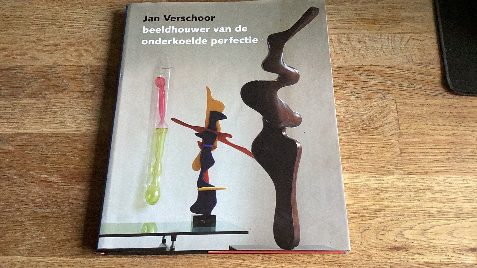 Jan Verschoor, beeldhouwer van de onderkoelde perfectie, Ophalen of Verzenden, Gelezen, Beeldhouwkunst
