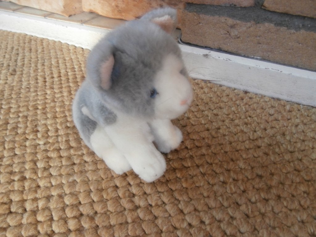 knuffel poes knuffelpoes grijs wit van Anna Club Pluche kat, Gebruikt, Grijs, Ophalen of Verzenden, Kat