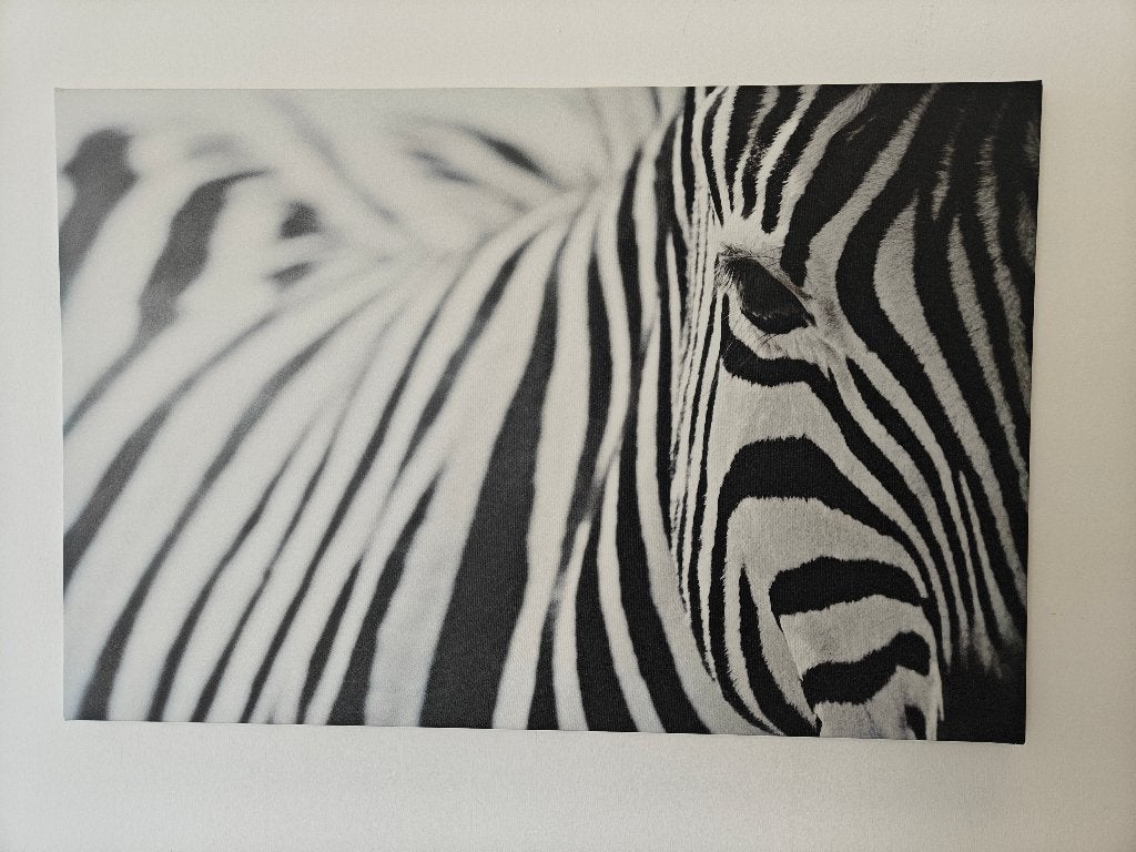 Canvasdoek Zebra, Ophalen