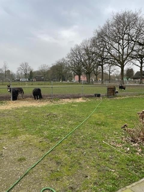 NIEUW! Woonruimte te huur Grintweg, Wageningen