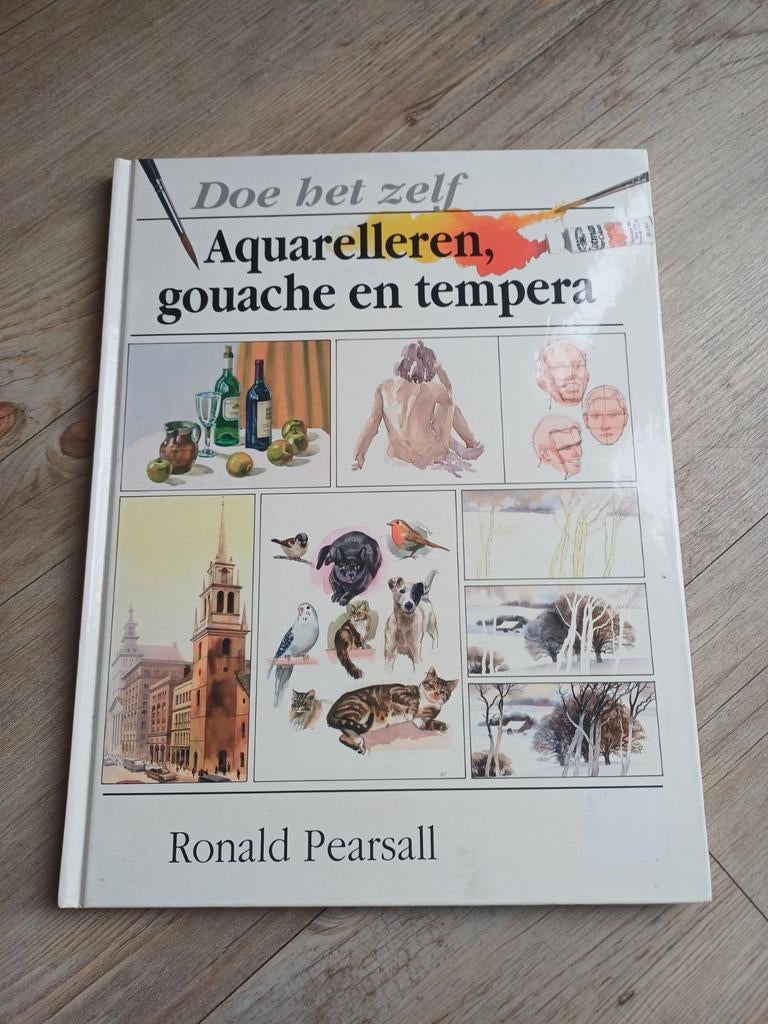 Doe het zelf: Aquarelleren, gouache en tempera, Ophalen of Verzenden, Gelezen, Overige onderwerpen, Ronald Pearsall