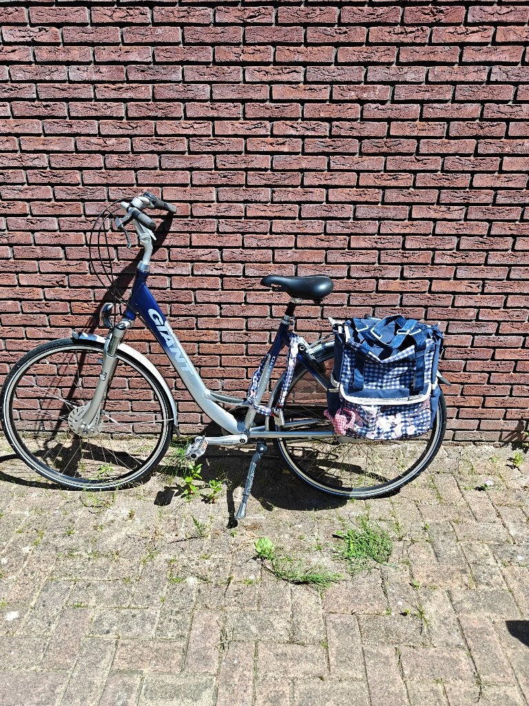 Damesfiets Giant, Fietsen en Brommers, Fietsen | Dames | Damesfietsen, Gebruikt, Giant, Versnellingen, 47 tot 50 cm, Velgrem, Ophalen