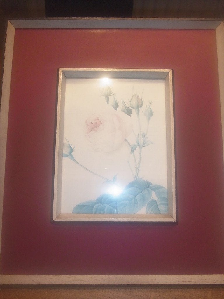 schilderij roos, Ophalen of Verzenden, Bloemen