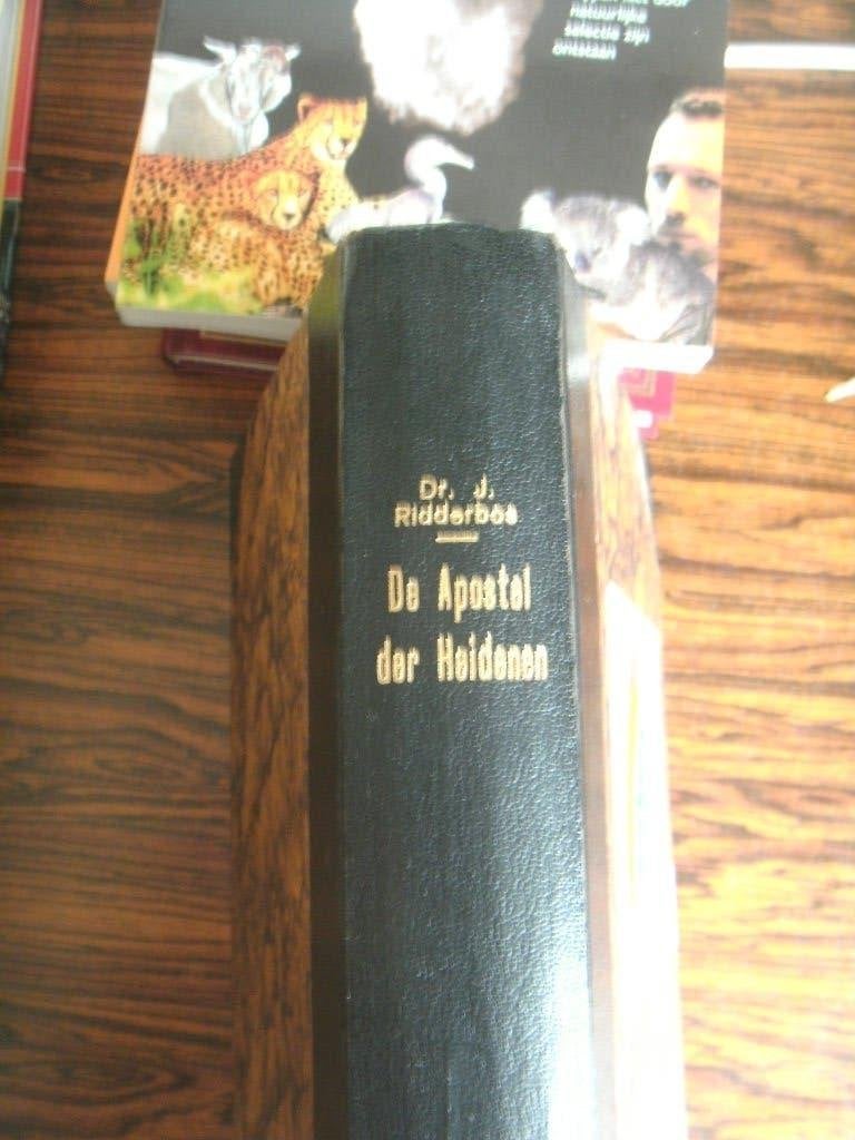 De Apolstel der Heidenen. Dr. J. Ridderbos., Ophalen of Verzenden, Gelezen, Dr. J. Ridderbos, Christendom | Protestants