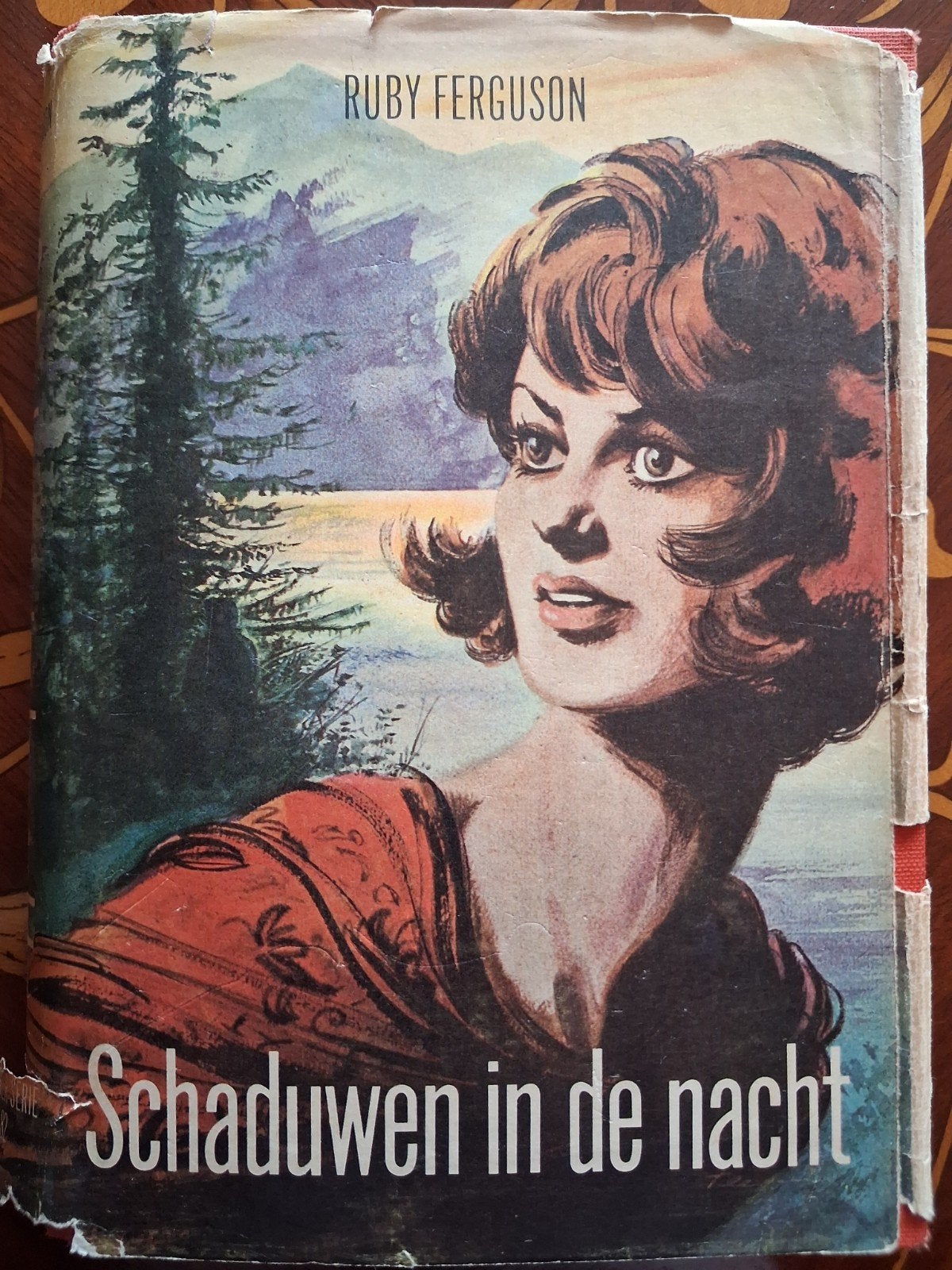 Schaduwen in de nacht - Ruby Ferguson. The wakeful guest, Boeken, Romans, Gelezen, Europa overig, Verzenden, Ruby Ferguson