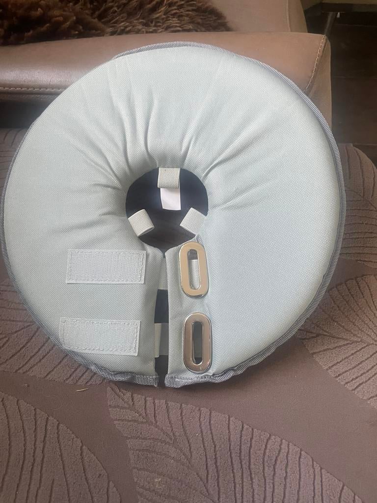 Beschermkraag voor kleine hondjes, Dieren en Toebehoren, Honden-accessoires, Ophalen of Verzenden, Nieuw