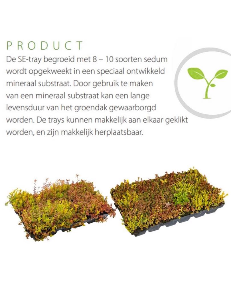 Groen is leven groendak cassettes maak het eenvoudig zelf, Ophalen of Verzenden, Overige soorten, Volle zon
