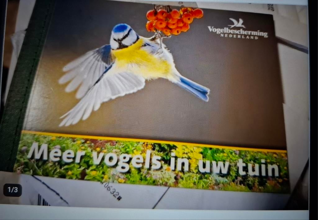 Prestige boekje vogels in de tuin, Postzegels en Munten, Postzegels | Nederland, Ophalen of Verzenden, Na 1940, Gestempeld