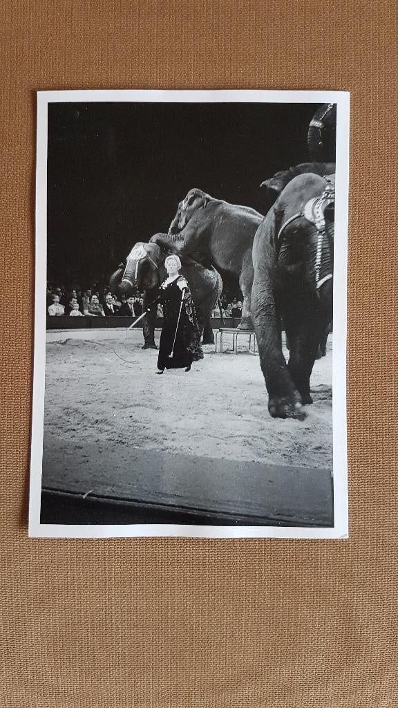 Circus/ Frieda Sembach-Krone met olifanten., Verzamelen, Ophalen of Verzenden, Zo goed als nieuw