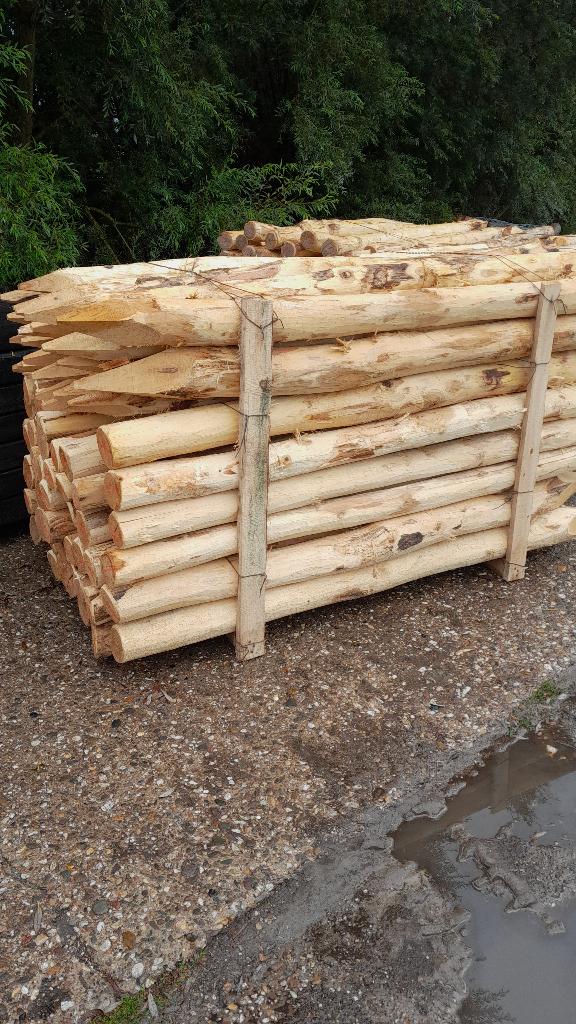 Robiniahouten palen, robinia paal 200cm lang 8-10cm dik, Ophalen, Nieuw, 180 tot 250 cm, Palen