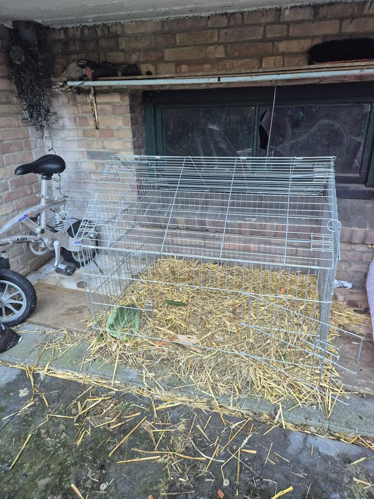 Konijn spulletjes, Dieren en Toebehoren, Ophalen, Zo goed als nieuw