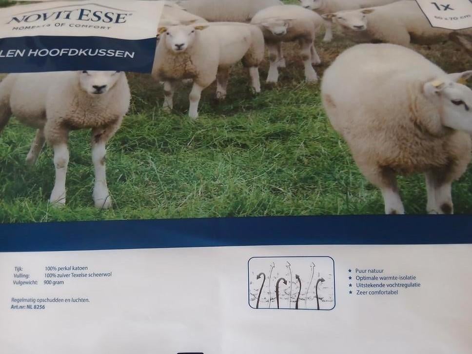 Wollen hoofdkussens 2  stuks nieuw 60 x 70, Ophalen, Nieuw, Eenpersoons, Kussen