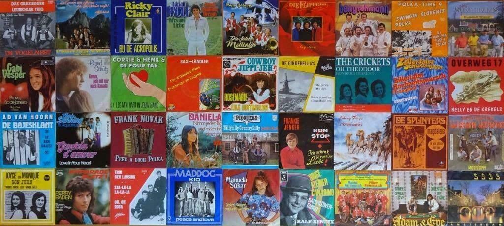 gezocht singels, Cd's en Dvd's, Vinyl | Nederlandstalig, Ophalen of Verzenden, Zo goed als nieuw, 12 inch, Levenslied of Smartlap