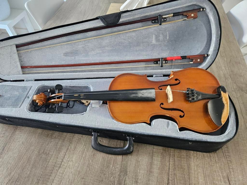 Elektrische viool met koffer - Zo goed als nieuw, Muziek en Instrumenten, Gebruikt, Viool, Ophalen of Verzenden, 4/4-viool