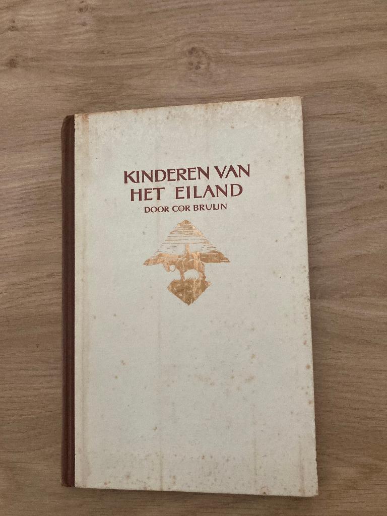 Boek Cor Bruijn, Ophalen of Verzenden, Gelezen