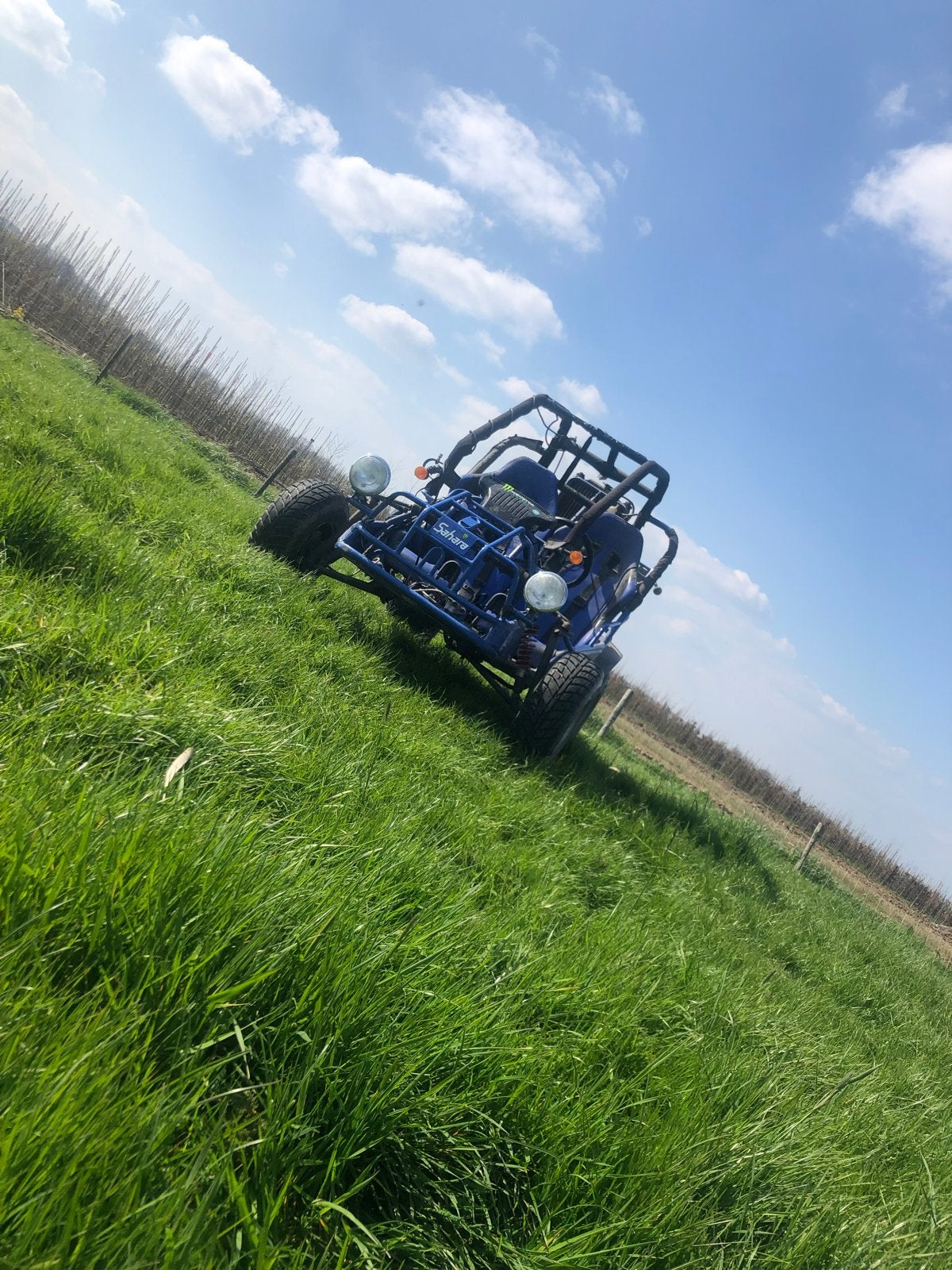 Buggy 250cc zonder kenteken - Leuk om te crossen!, Ophalen