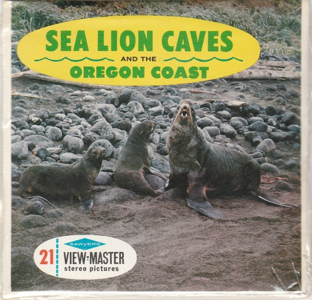 NIEUW view master SEA LION CAVES OREGON USA A247 viewmaster, Ophalen of Verzenden, Nieuw