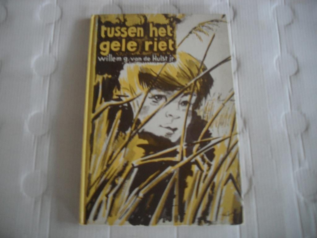 tussen het gele riet - w.g. van de hulst jr., Ophalen of Verzenden, Gelezen, Fictie algemeen