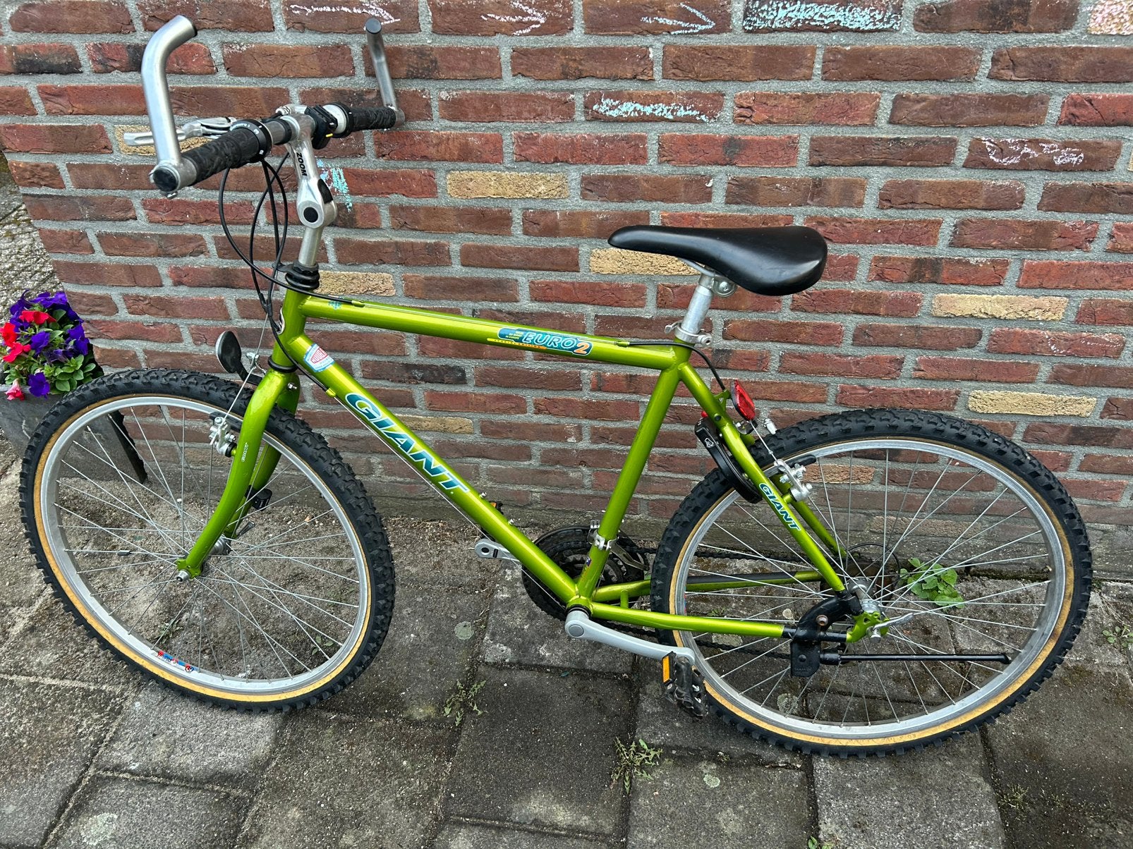 Giant mountainbike fiets, Ophalen, Gebruikt, Giant