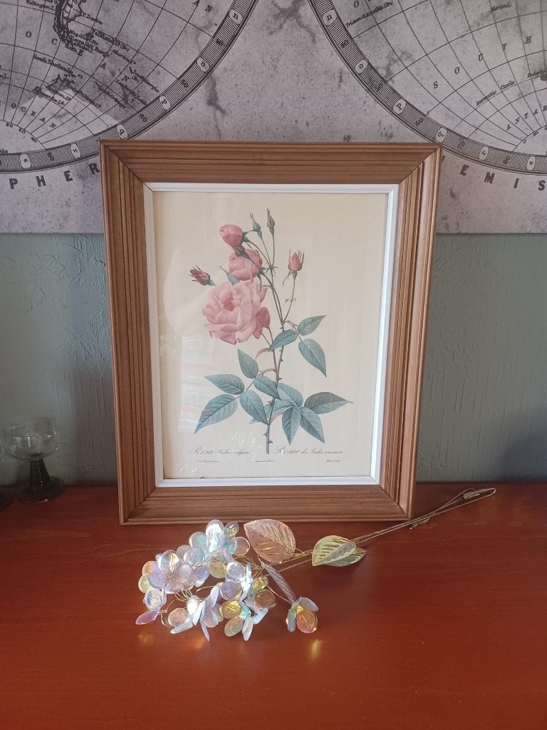 Lijst met botanische prent rozen Redouté - 40x49 cm, Gebruikt, Overige kleuren, Hout, Ingelijst werk