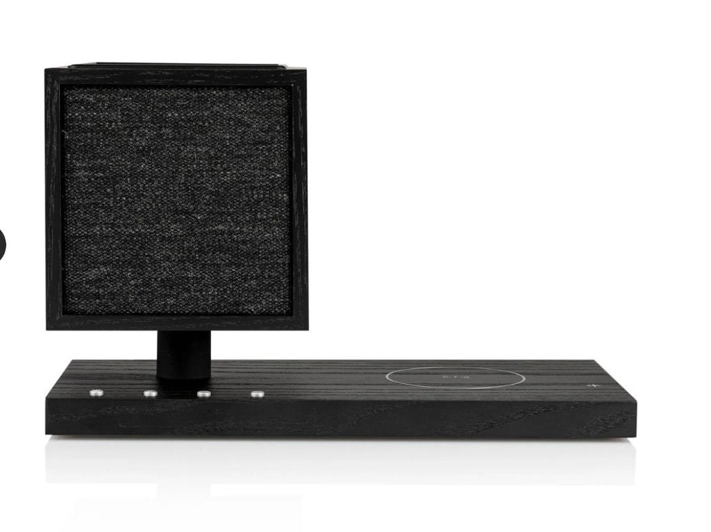 Tivoli Revive speaker, Overige merken, Verzenden, Overige typen, Nieuw