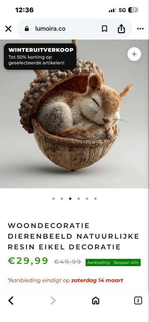 Schattige decoratie dieren: eekhoorn, konijn, egel (nieuw), Ophalen of Verzenden, Nieuw