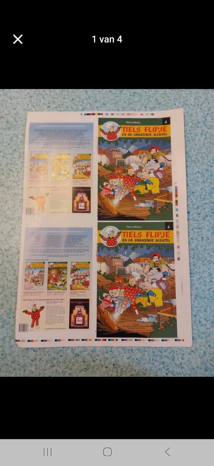 Tiels Flipje en de Snikkende Sleutel (PrimaMedia), Boeken, Stripboeken, Meerdere stripboeken, Ophalen, Zo goed als nieuw, Alexandra van der Meulen van Vliet, Arle van Vliet