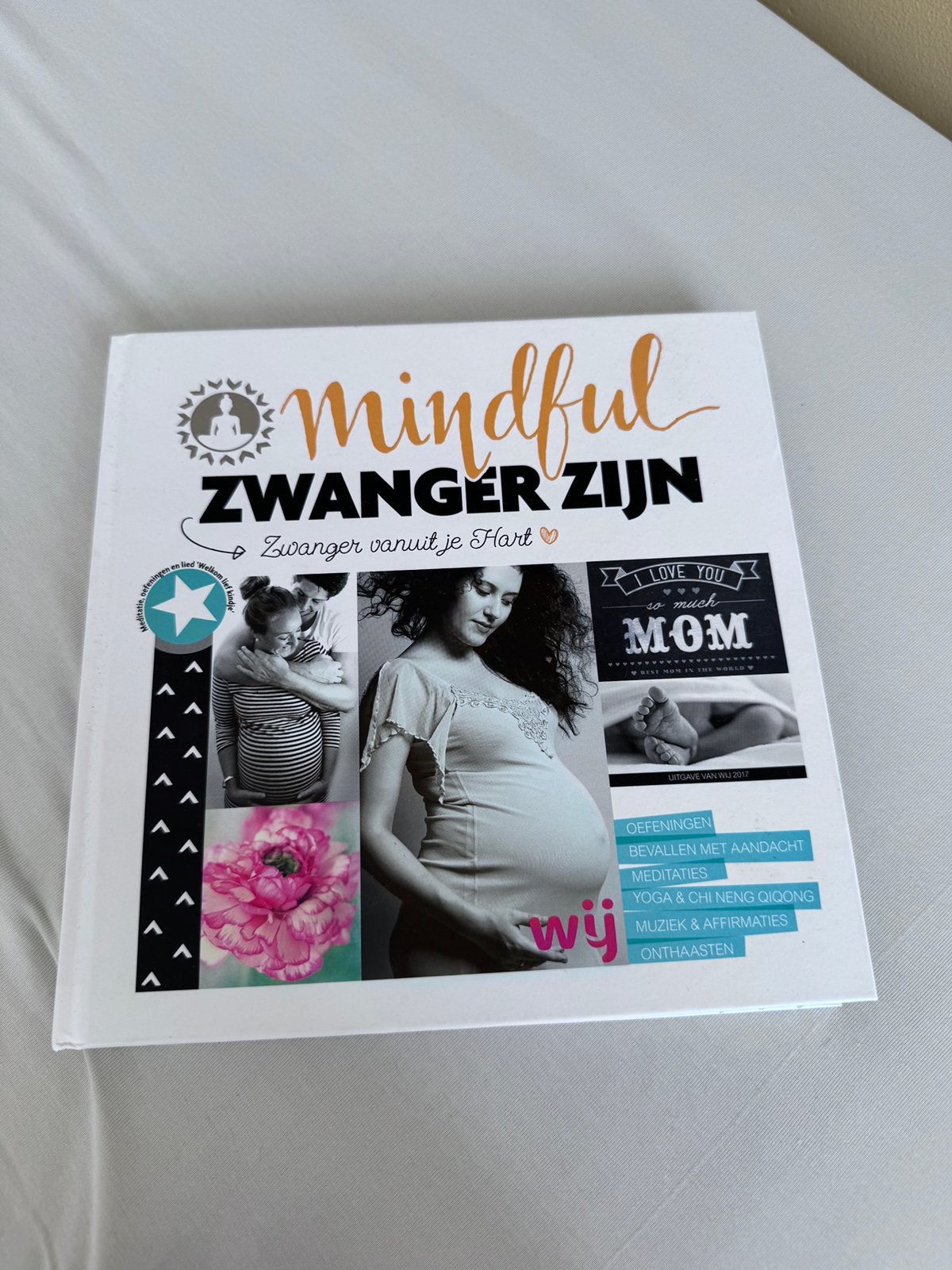 Anna van Amsterdam - Mindful zwanger zijn, Zwangerschap en Bevalling, Zo goed als nieuw, Anna van Amsterdam; Yvon Tuinte-Zwanenburg