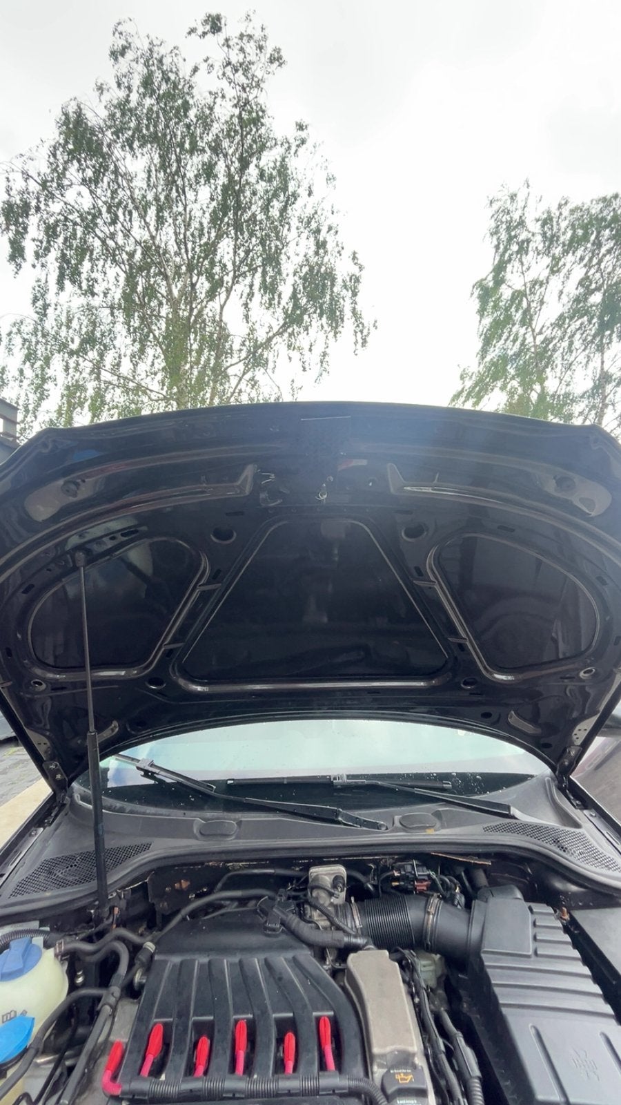 Motorkap audi a3 8p nieuwe gespoten, Ophalen of Verzenden
