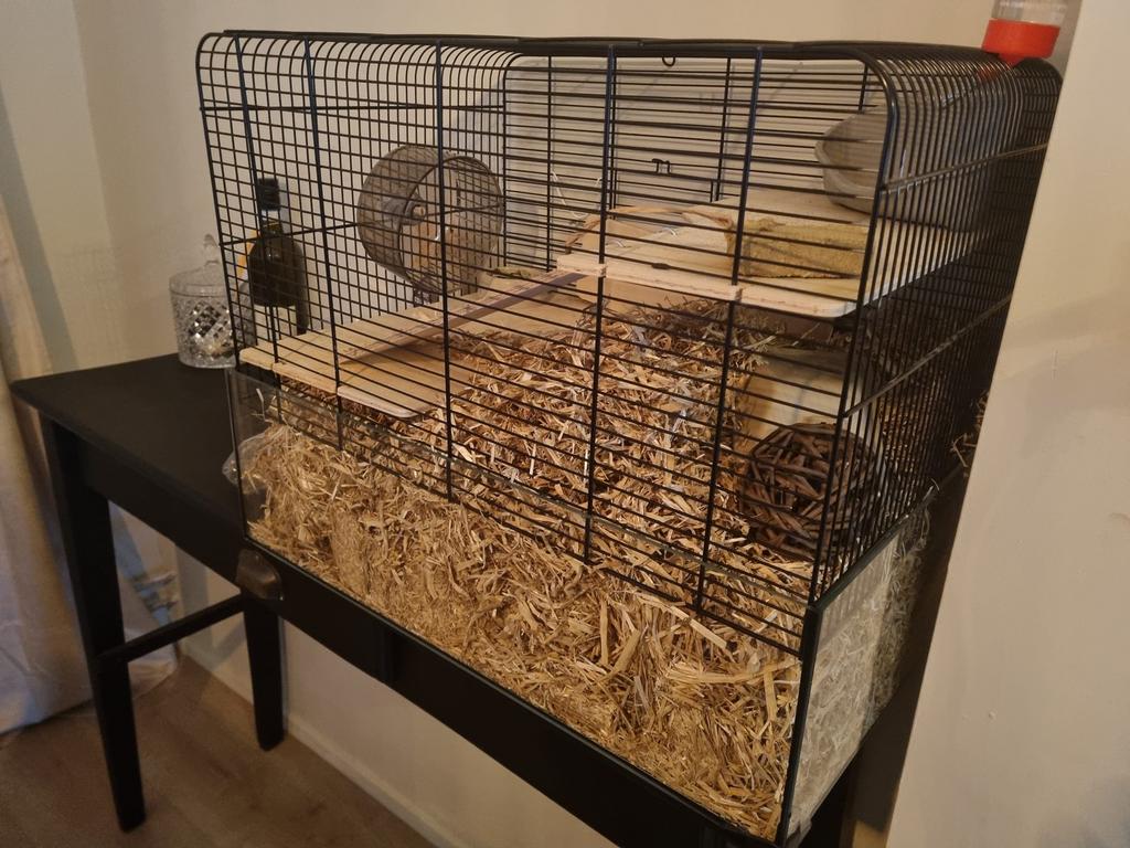 Hamster kooi, Dieren en Toebehoren, Knaagdieren en Konijnen | Hokken en Kooien, Kooi, Ophalen of Verzenden, Zo goed als nieuw