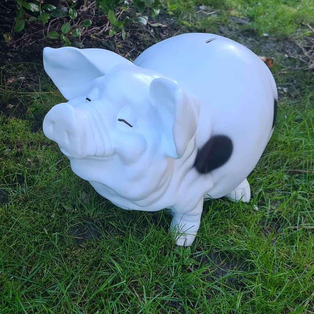 SUPER GROOT SPAARVARKEN TUINBEELD, Ophalen, Nieuw, Kunststof, Dierenbeeld