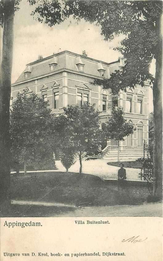 300-325-037 Appingedam Villa Buitenlust, Verzenden, Voor 1920, Groningen