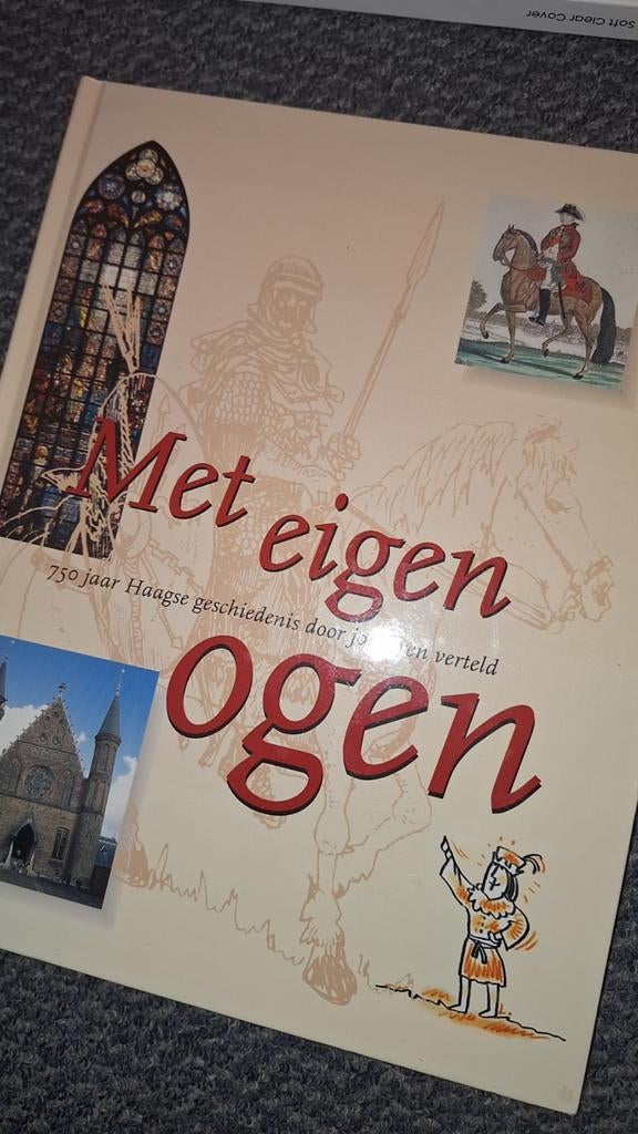 'Met je eigen ogen' Haagse geschiedenis, Boeken, Geschiedenis | Stad en Regio, Ophalen of Verzenden, Zo goed als nieuw