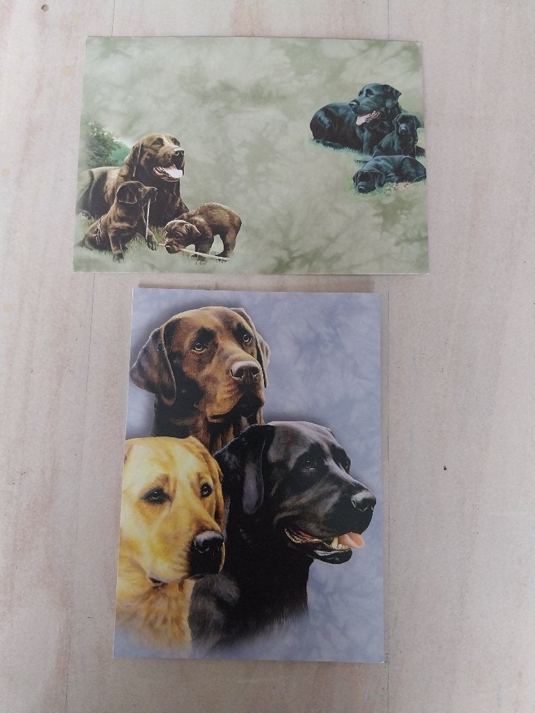 Mooie ansicht kaart met envelop 3 verschillende honden NIEUW, Verzamelen, Ophalen of Verzenden, 1980 tot heden, Ongelopen, Hond of Kat