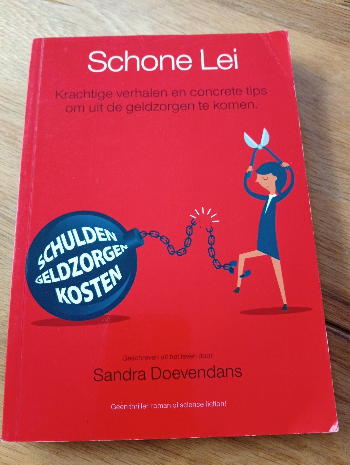 Schone Lei: Krachtige verhalen en concrete tips, Boeken, Ophalen of Verzenden, Gelezen, Sandra Doevendans