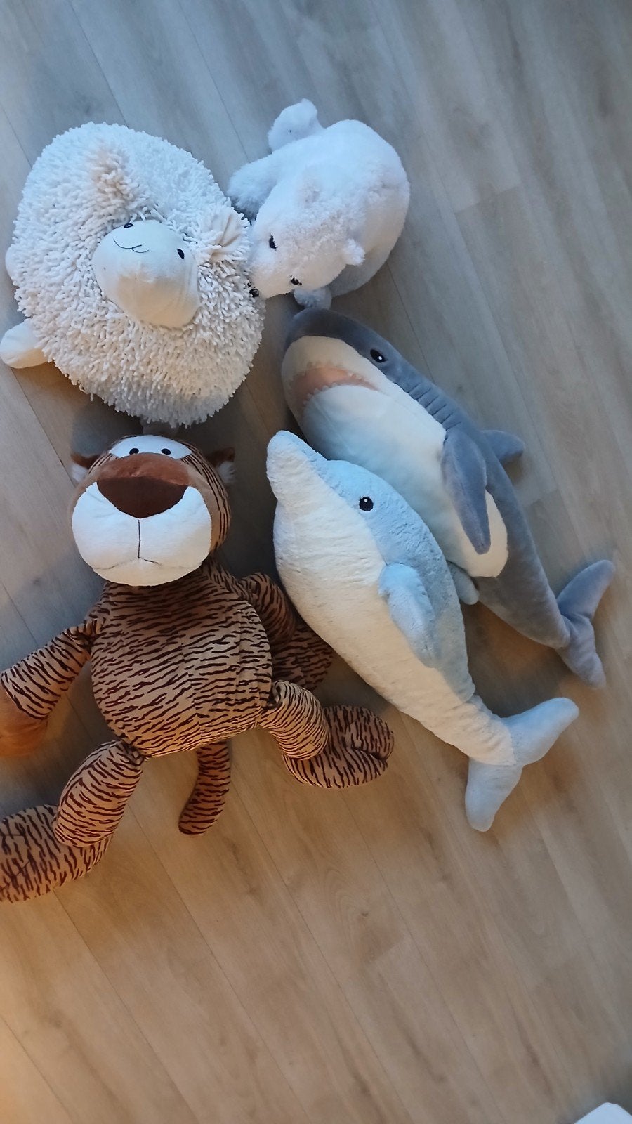 Leuke knuffels: tijger, schaap, ijsbeer, dolfijn, haai, Ophalen, Gebruikt, Middelgroot (20 tot 80 cm), Meerkleurig