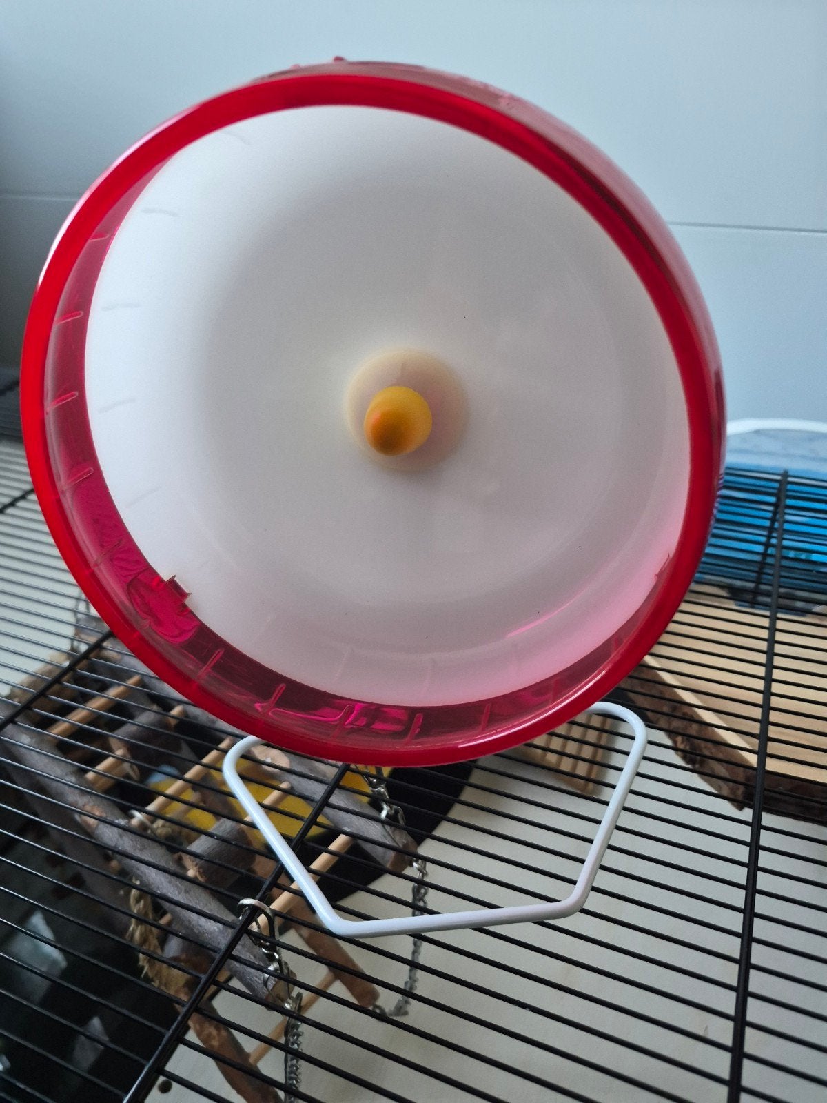 Beeztees silent spinner en meer hamsterspullen, Ophalen of Verzenden, Zo goed als nieuw, Loopwiel of Rad